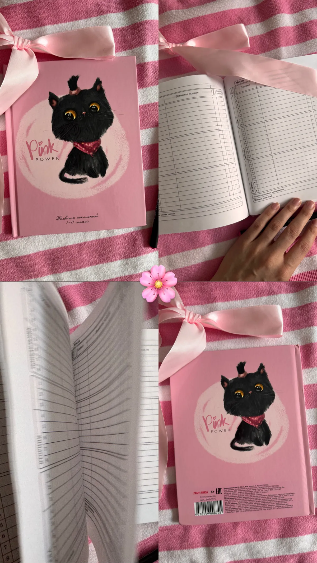 Pink Power school diary cover with a kitten illustration