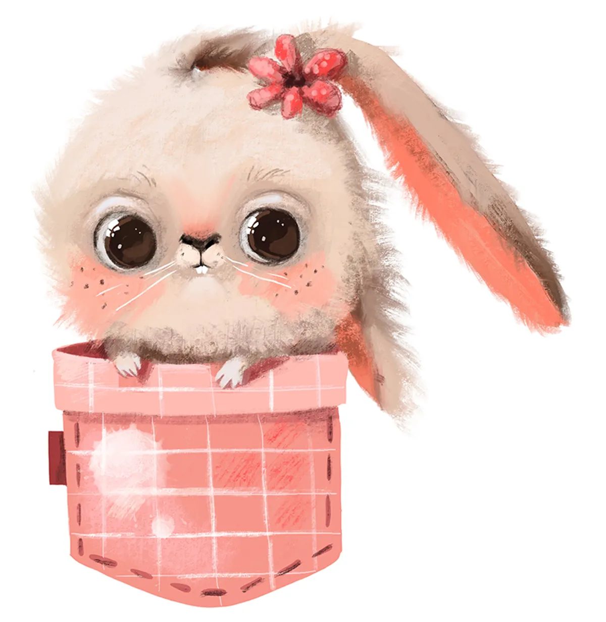 Bunny illustration