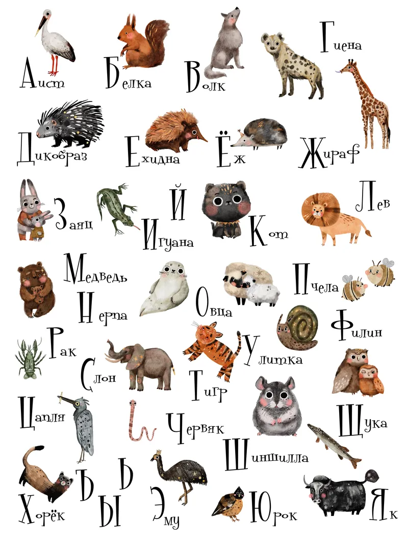 Постер "Алфавит"